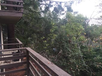 Rooms in Palo Alto House. Pool, balconies, 3 car garage! - $1200/mo 2