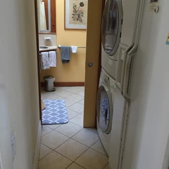 Sunny Room in SF Available January - March!! ($1400) 2