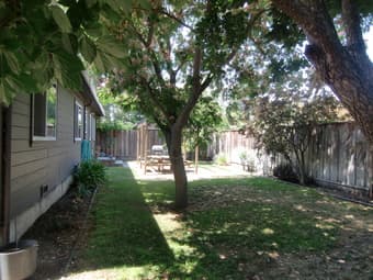 4BR/2 Bath 1,600 sq ft single family home Palo Alto for rent 2