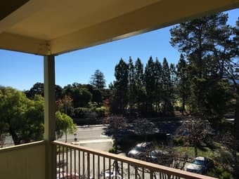 $2595 Renovated, Spacious 1-bedroom Palo Alto Apartment (715ft2) 2