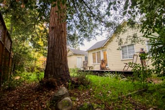$1295 Single Bedroom Menlo Park (3Bed/1Bath) 3