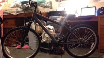 Mountain Bike $100 OBO 1