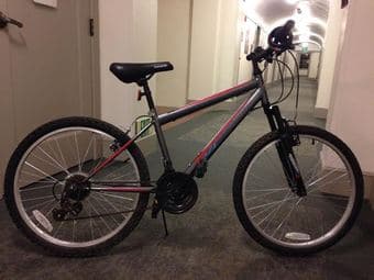 Mountain Bike $100 1