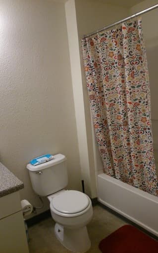 $1400 Sharing nice, clean 2BR/2BA apartment in San Carlos 2