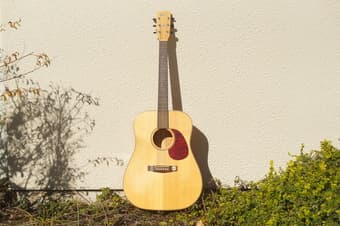 Guitar Cort Earth 100 1