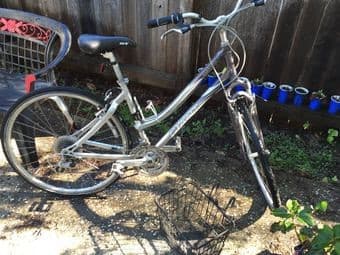 Womens 19" Giant Cypress bike 1