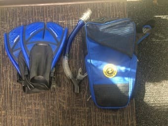 Snorkel, snorkeling fins and carrying case $10 1