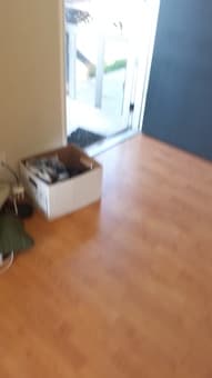 Room with full bath, kitchen and other amenities is Available 1