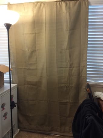 Martha Stewart Living Curtains - $15 1