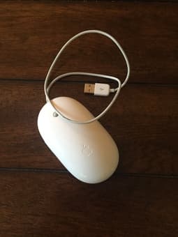 Apple mouse 1