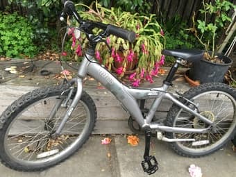 Giant kids bike for sale 2