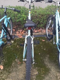 Bike for $80 or obo 1