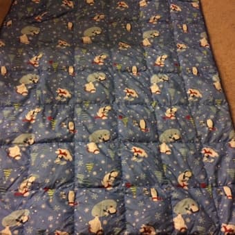 flannel sheet set twin  and Down Comforter twin - penguin 1