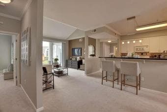 1 BR at Palo Alto ( Short term rental, 4/23 to 5/7) 1