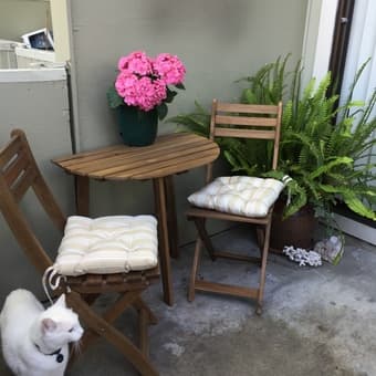 Housemate wanted for nice townhome near campus 1