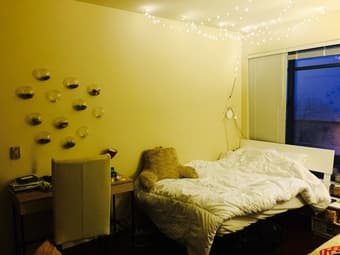 $1750 / 1300ft2 - Private Large Master Bedroom and bath in downtown SF 3