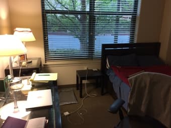 One bedroom summer sublet in a Munger Quad; $1425/month; June 6-Sep 24 1