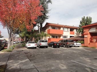 Mountain View独立客厅出租$750/month 1