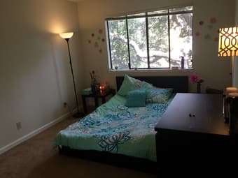 Room for rent in spacious 3 bedroom apartment 1