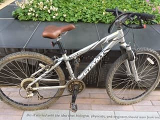 Giant Rincon Mountain bike 1