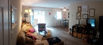 Spacious private room in 2bd/1ba Palo Alto 5/1 – 5/31 or longer $1450 2