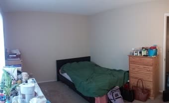 Spacious private room in 2bd/1ba Palo Alto 5/1 – 5/31 or longer $1450 3