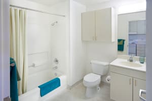 In-Campus Stanford Studio (Single) 350sq.feet for 1350$/month (summer) 3