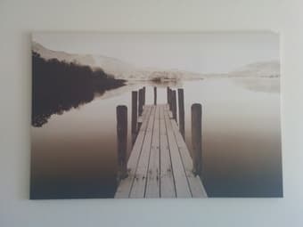 Picture $20 1
