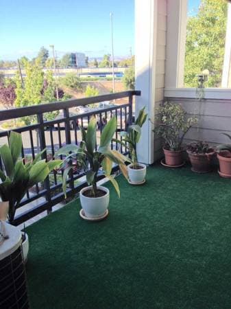 $1100 / 350ft2 - A Beautiful and Neat 1 Bed Room (palo alto) 1