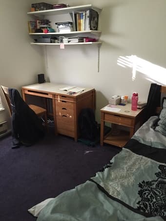 $1000/mo - Room in 4br/2ba Rains Graduate Housing (June 8 - Sept. 24) 1