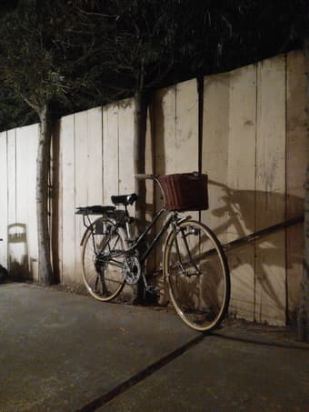 Women's Bicycle: Gorgeous Vintage Raleigh 3