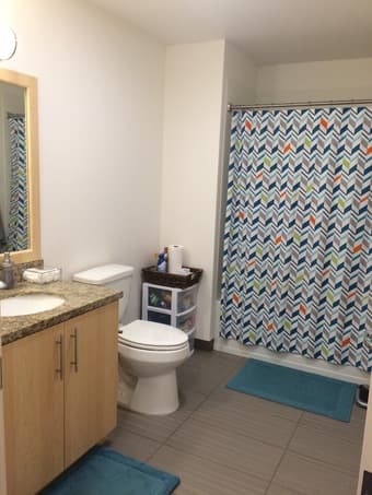 Kennedy 1BR/1BA Summer Sublet - Females Only 3