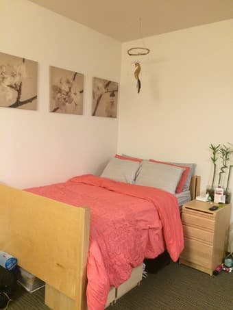 Kennedy 1BR/1BA Summer Sublet 2