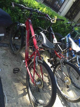 Schwinn Bicycle for sell 80$ 2