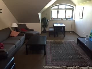 Spacious apartment, central Stanford location, whole summer 3