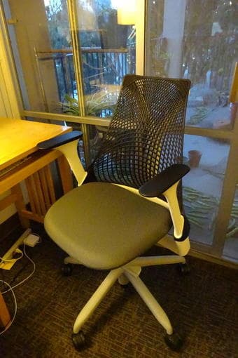 Herman Miller Sayl Chair $300 1