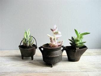 Set of Three Mini Cast Iron Pots/Planters - $40 1