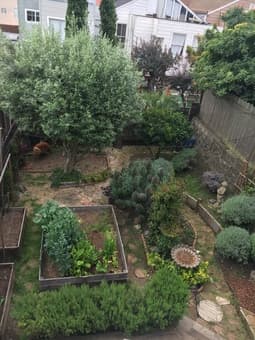 1 br in spacious Victorian Flat in Potrero Hill w/ huge garden ($1900) 1