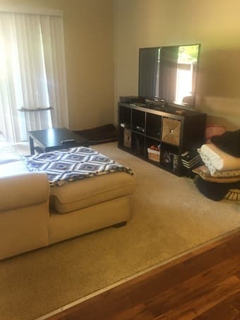 Sublet: 1b/1ba in San Mateo for June - November ($2095) 2
