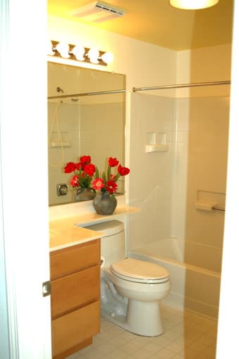 Female roommate wanted in 3BR/2BA apartment- Sunnyvale 2