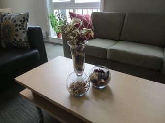 Vases and dried flowers! 1