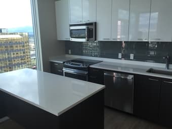 Great Summer Apt in DT San Jose - Short Walk to Caltrain/Light Rail 1