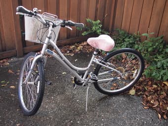 Bike - $130 1