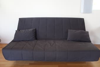 Converteble Coach-Bed ($30) 1