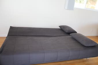 Converteble Coach-Bed ($30) 2