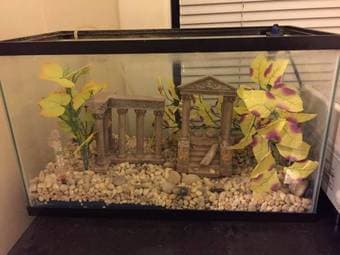 10 Gallon Fish Tank/Aquarium - $45 1