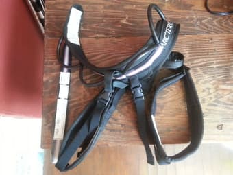 Women's Arcteryx Isis climbing harness 1