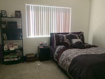 Room in Nice 2BR Mountain View Apartment 1