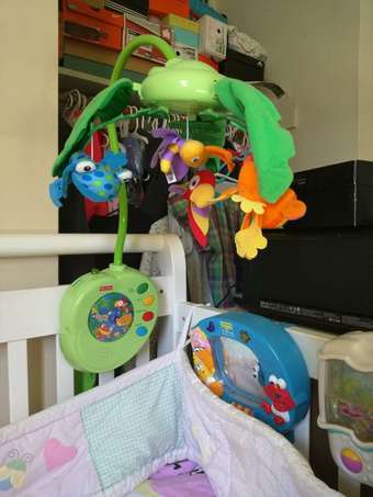 ainforest mobile and sesame street crib mirror 1