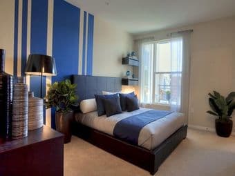 $1675 Seeking Female Roommate for Unfurnished 2BR/2BA in Walnut Creek 2